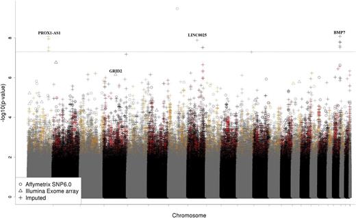 Figure 3. Manhattan plot of meta-analysis for osteonecrosis in patients 1 to 10 years of age. SNPs (N = 9157) with associations with osteonecrosis (P < .05) in both the discovery and replication cohorts are shown in red or orange. The top coding SNP (rs34144324 in GRID2, meta-analysis P = 7.07 × 10−7) and loci reaching genome-wide significance (PROX1-AS1, rs1891059, P = 8.72 × 10−9; LINC00251, rs141059755, P = 1.30 × 10−8; BMP7, rs79085477 and rs75161997, P = 8.29 × 10−9) are noted.