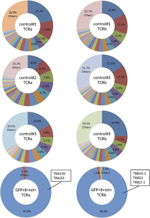 Figure 6. Skewed TCR repertoire in human CD8+ T cells developed in NSG-HLA-A24/HHD WT1-TCR gene–transduced HSC recipients. CD8+GFP+tetramer+ T cells were purified from an NSG-HLA-A24/HHD mouse transplanted with WT1-TCR-transduced human HSCs. Human CD8+ T cells were also purified from control mice engrafted with nontransduced human HSCs. Pie charts depict the major repertoires >1%. The minor repertoires <1% are indicated as “Others.”