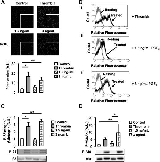 Figure 6. PGE2 activates WT platelets. (A) Platelet spreading was increased by the addition of thrombin and 3 ng/mL of PGE2. Treatment with 1.5 ng/mL of PGE2 had no effect. (B) P-selectin expression, assessed by flow cytometry, was increased by thrombin and 3 ng/mL of PGE2. Gray line denotes the expression of P-selectin in resting platelets; black lines denote the expression of P-selectin with (i) thrombin, (ii) 1.5 ng/mL of PGE2, or (iii) 3 ng/mL of PGE2 treatment. (C) β3 integrin phosphorylation was increased after treatment with thrombin or 3 ng/mL of PGE2 but not 1.5 ng/mL of PGE2. (D) Akt phosphorylation was increased after treatment with thrombin or 3 ng/mL of PGE2 but not 1.5 ng/mL of PGE2. *P < .05 or **P < .05 comparing treatment group with control.