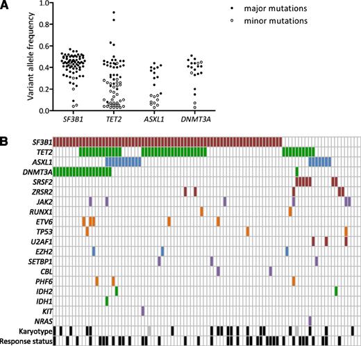 Figure 2. Landscape of mutations. (A) Distribution of variant allele frequencies of SF3B1, TET2, ASXL1, and DNMT3A gene mutations at inclusion. For each mutation, depth at the variant position was considered to calculate variant allele frequency; that is, the proportion of mutated reads among total reads and its 95% CI. For each patient having at least 1 of the 4 SF3B1, TET2, ASXL1, or DNMT3A mutations, pairwise comparisons between the variant allele frequencies of mutations were performed using Fisher’s exact test. Mutations with the significantly highest variant allele frequencies were considered major mutations and are indicated by closed symbols; minor mutations are indicated by open symbols. (B) Barcode representation of genetic lesions, cytogenetic abnormalities, and response status of 94 patients. Two patients had no mutation and a normal karyotype. Each column represents an individual sample, and each row represents a gene. Black boxes represent abnormal karyotypes and responders to treatment. Gray boxes represent unavailable karyotype.