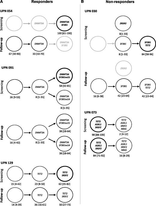 Figure 5. Genotyping of single HSC–derived colonies. (A) Responders. (B) Nonresponders. Graphic representation of clonal architecture of HSC compartment at the single-cell level before and after 4 cycles of treatment. Percentages of mutated colonies and 95% CIs are indicated for each patient. Bold lines are used for dominant subclones, standard and dotted lines for minor subclones, and gray lines for undetected subclones.