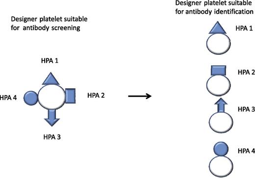 Designer platelet expressing a variety of clinically important antigens for the initial antibody investigation. Further differentiation of the antibody specificities by designer platelets expressing only 1 or a limited array of antigens.