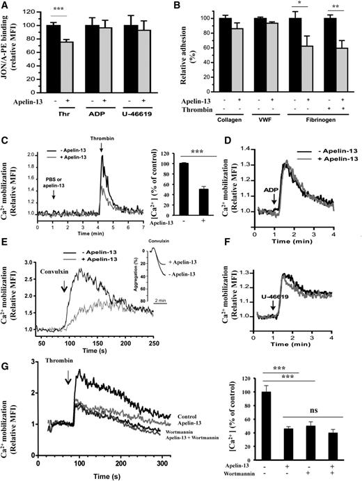 Figure 2. Regulation of platelet αIIbβ3 activation and Ca2+ mobilization by apelin-13. (A) Flow cytometry analysis of the integrin αIIbβ3 activation detected by the recognition by the antibody JON/A of the activated conformation of mouse αIIbβ3 integrin after stimulation by thrombin (Thr), ADP, or U-46619 of washed mouse platelets treated with 10 μM apelin-13 (+) or not (−). Results are expressed as relative mean fluorescence intensity (MFI) ± SEM, in arbitrary units, from at least 3 experiments. Statistical significance was determined by unpaired Student t test (***P < .001). (B) Platelet adhesion of washed human platelets (107) in presence of apyrase (2 U/mL) and preincubated with or without apelin-13 (10 μM) to immobilized collagen (50 μg/mL), von Willebrand factor (VWF; 50 μg/mL), or fibrinogen (100 μg/mL). Platelet adhesion to VWF was performed in the presence of botrocetin (5 μg/mL) and to fibrinogen with and without the activation by thrombin (100 mU/mL). Data are expressed as mean relative adhesion ± SEM of at least 3 independent experiments, and statistical significance was determined by unpaired Student t test (*P < .05; **P < .01). (C) Effect of apelin-13 (10 μM) on intracellular Ca2+ mobilization in platelets activated by thrombin (100 mU/mL) (left). Bar graph denotes the corresponding percentages of Ca2+ mobilization (right). (D) Effect of apelin-13 on intracellular Ca2+ mobilization in ADP (10 μM)-activated platelets. (E) Effect of apelin-13 (10 μM) on intracellular Ca2+ mobilization in convulxin (500 pM)-activated platelets. Platelet aggregation induced by convulxin (200 pM) is also indicated. (F) Effect of apelin-13 on intracellular Ca2+ mobilization in U-46619 (200 nM)-activated platelets. (G) Effect of apelin-13 (10 μM) on intracellular Ca2+ mobilization in the absence or presence of wortmannin (10 nM) in platelets activated by thrombin (100 mU/mL). Results are representative of 4 experiments and expressed as the relative MFI, in arbitrary units (left). Bar graph denotes the corresponding percentages of Ca2+ mobilization (right). Values are mean ± SEM (n = 4 per group). Statistical significance was determined by unpaired Student t test (***P < .001). Ca2+, calcium ion; ns, not significant.