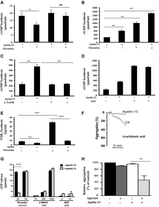 Figure 3. Effect of apelin-13 on cAMP, cGMP, and thromboxane B2 synthesis and platelet secretion. Accumulation of cAMP (A) and cGMP (B) was determined in resting and thrombin-activated platelets (5 minutes) in the absence or presence of apelin-13 (10 μM). Results represent the mean ± SEM of at least 4 separate experiments, each performed in triplicate. Statistical significance was determined by unpaired Student t test (*P < .05; **P < .001). (C) cGMP content in platelets in the presence or absence of the nitric oxide synthase inhibitor NG-methyl-L-arginine (L-NAME) (1 mM) for 5 minutes was measured in untreated or apelin (10 μM)-treated platelets. Results are the mean ± SEM of at least 3 separate experiments, each performed in triplicate (Student t test; **P < .001). (D) Accumulation of cGMP was determined in untreated or apelin-treated platelets (5 minutes) in the absence or presence of sodium nitroprusside (SNP; 10 μM). Results represent the mean ± SEM of 3 separate experiments, each performed in triplicate. (E) Thromboxane B2 (TXB2) content was determined in resting and thrombin-activated platelets after their incubation in the absence or presence of apelin-13 (10 μM) for 5 minutes. Results represent the mean ± SEM of 3 separate experiments, each performed in triplicate (Student t test, **P < .01; ***P < .001). (F) Aggregation of washed mouse platelets induced by arachidonic acid (39 μM) with or without incubation with apelin-13 (10 μM). Traces are representative of at least 3 independent experiments (supplemental Figure 3). Results are expressed as the percentage change in light transmission with respect to the blank (buffer without platelets; Ctl), set at 100%. (G) Dense granule secretion was evaluated by measuring the ATP release after the aggregation induced by the indicated concentration of thrombin, U-46619, and ADP of human platelets preincubated with or without apelin-13 (10 μM). Results were expressed as the amount of ATP release by platelets from at least 3 independent experiments, and statistical significance was determined by unpaired Student t test (***P < .001). (H) Aggregation of washed human platelets induced by thrombin (100 mU/mL) with or without incubation with apyrase (5 U/mL) and apelin-13 (10 μM). The relative percentage ± SEM of 3 independent experiments is expressed, and statistical significance was determined by 1-way ANOVA followed by Tukey test (**P < .01).