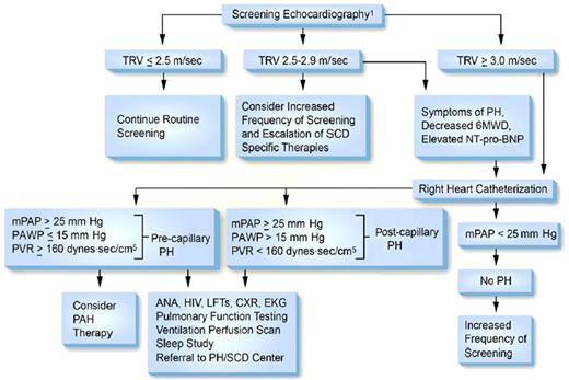 Figure 2. Proposed algorithm for evaluation of pulmonary hypertension related to sickle cell disease. 6MWD, 6-minute walk distance; ANA, anti-nuclear antibody; CXR, chest X-ray; EKG, electrocardiogram; LFTs, liver function tests; mPAP, mean pulmonary artery pressure; NT-pro-BNP, N-terminal pro–brain natriuretic peptide; PAWP, pulmonary artery wedge pressure; PH, pulmonary hypertension; PVR, pulmonary vascular resistance; SCD, sickle cell disease; TRV, tricuspid regurgitation velocity. Note: Echocardiography should be performed while patients are clinically stable. PAH therapy is to be considered on the basis of a weak recommendation and very low-quality evidence. Reprinted with permission of the American Thoracic Society.84 The American Journal of Respiratory and Critical Care Medicine is an official journal of the American Thoracic Society.