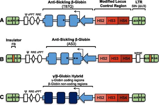 Figure 1. Vector schematic: general organization of proviral form of lentiviral vectors for gene therapy for SCD. (A) Antisickling β-globin vector containing the T87Q mutation. The SIN lentiviral vector is noninsulated and contains a modified LCR with HS2, HS3, and HS4. (B) Antisickling β-globin vector containing the G16D, E22A, and T87Q mutations (AS3). The SIN lentiviral vector has an FB element for enhancer-blocking activity and contains a modified LCR with HS2, HS3, and HS4. (C) A γ/β-globin hybrid vector containing the coding regions of γ-globin and the noncoding regions of β-globin. γ-globin (dark blue boxes), β-globin, or antisickling β-globin gene cassettes (blue boxes) with β-globin 5′ and 3′ untranslated regions (short blue boxes) under the control of a β-globin promoter (blue arrow) and modified β-globin LCR (red). Gene cassette is in reverse with respect to viral transcription to avoid aberrant splicing during packaging due to presence of globin intronic sequences (light blue boxes). All vectors are SIN (ΔU3) lentiviral vectors (green). Vectors are intended as basic schematics of gene therapy clinical vectors for SCD and are neither drawn to scale nor are all details included. ψ, packaging signal; cPPT, central polypurine tract; HS, DNase I hypersensitive site; LTR, long terminal repeats (U3, R, and U5); RRE, rev-responsive element; WPRE, woodchuck hepatitis virus posttranscriptional regulator element.