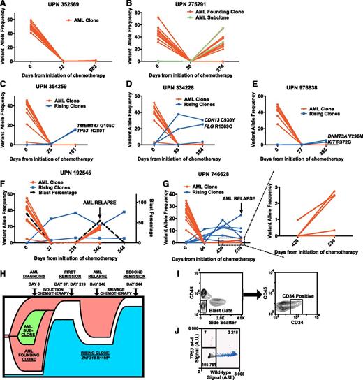 Figure 1. The expansion of nonleukemic hematopoietic clonal populations is frequently observed following induction therapy for de novo AML patients. Somatic mutations were identified at the time of diagnosis, after induction chemotherapy, and at long-term follow-up using enhanced exome sequencing. Mutations present in the AML founding clone or subclone(s) are highlighted in red. Mutations present in rising clones are highlighted in blue. (A) Representative data from a patient with no evidence of clonal hematopoiesis after cytoreductive therapy. (B) Representative data from a patient with recurrence of his AML after chemotherapy with the concomitant expansion of an AML subclone harboring additional somatic mutations (shown in green). (C-G) All 5 patients with validated genetic evidence showing expansion of a nonleukemic hematopoietic clone after chemotherapy. (H) Proposed model of clonal evolution under the influence of cytoreductive chemotherapy in UPN 192545. (I) Sorting strategy used to isolate relapsed CD34+CD45dimSSClow leukemic blasts in UPN 746628. (J) ddPCR plot assessing the presence of the TP53 e4-1 allele in the leukemic blast population of UPN 746628. Droplets containing only the TP53 e4-1 allele are highlighted in orange. droplets containing the wild-type allele (with or without the TP53 e4-1 allele) are highlighted in blue, and empty droplets are gray. The number of droplets in each gate is indicated. A.U., arbitrary units.