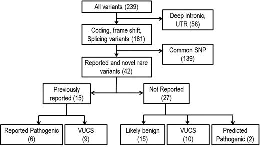 Figure 1. Gene filtering schema. Variants were filtered by focusing on coding and noncoding functional modifying changes. Rare variants are defined as variants with a minor allele frequency less than 1% in European American or African American populations based on data from the Exome Variant Server database (National Heart, Lung, and Blood Institute Exome Sequencing Project). Predicted pathogenic mutations are rare nonsense mutations, indels, or missense variants with highly positive pathogenicity predications using SIFT, PolyPhen-2, MutationTaster, and Align GVGD. SNP, single nucleotide polymorphism; UTR, untranslated region; VUCS, variant with uncertain clinical significance.