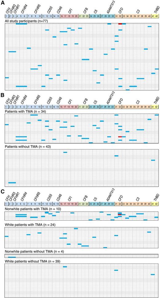 Figure 2. Gene variants. Gene variants identified after a rigorous filtering process are shown as a heat map. Each vertical column marks 14 genes that were included after data filtering, some with multiple variants (CFP, C4BPA, and CD59 were excluded from the 17-gene panel because of the absence of the variants detected). Numerical list 1-42 correlates with the specific gene variant listed in supplemental Table 2. Each horizontal line represents 1 study patient (HSCT recipient). Heterozygous variants are shown in blue and homozygous variants are shown in red. (A) Gene variants identified in all 77 HSCT recipients: 26 (34%) of 77 of patients had at least 1 gene variant detected. (B) A majority of gene variants are present in HSCT recipients with TMA (top panel), whereas few variants are seen in those without TMA (bottom panel). The median number of gene variants (of known or uncertain clinical significance) seen in recipients with TMA was 1 (range, 0-7) and 0 (range, 0-2) in those without TMA (P < .0001). (C) Gene variant distribution by race and TMA. All 10 nonwhites (100%) with TMA had at least 1 variant detected, whereas 12 (50%) of 24 of whites had variants identified. Three or more (range, 3-7) variants were identified only in nonwhite recipients with TMA (n = 7); 5 (71%) of these 7 patients died of severe TMA, indicating the effect of race and complement gene variants on TMA phenotype. CFD variant c.357+16C>A (number 32) was identified exclusively in African American HSCT recipients. Of 12 whites with TMA who had gene variants identified, only 3 had 2 variants and the other 9 had a single variant detected. Only 3 (7.7%) of 39 nonwhites without TMA had a single variant detected.