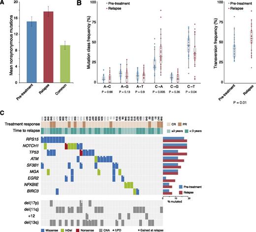 Figure 1. Somatic mutation frequencies in CLL relapsing after FCR treatment. (A) Average number of nonsynonymous mutations in both the pretreatment and relapse samples and the number of shared mutations in the 28 samples with matched constitutional DNA. (B) Frequency of the 6 mutation classes for pretreatment and relapse-specific mutations in the 28 samples with matched constitutional DNA. Statistical significance was assessed using 796 pretreatment mutations and 425 relapse-specific mutations. (C) Recurrently mutated genes. Columns represent patients (n = 41) and rows genes or genetic lesions. Color-coding indicates the type of mutation or genomic alteration. Case names in gray were analyzed without matched normal DNA. The majority of cases with TP53 aberrations harbored a mutation without coexisting del(17p); this is explained by the fact that the TP53 mutation status was not known in most cases before the start of the FCR regime in contrast to fluorescence in situ hybridization detection of del(17p), which had been performed in all cases. All TP53 mutations were deemed damaging and have been reported previously. CNA, copy-number aberration; PR, partial relapse; UPD, uniparental disomy.
