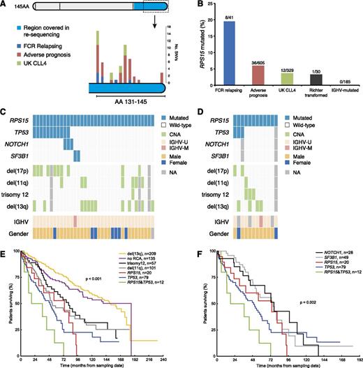 Figure 2. RPS15 mutations in CLL. (A) Localization of SNVs detected by either WES or with targeted resequencing of exon 4 in the extension cohorts (data for each cohort are provided in supplemental Table 10). With the exception of a single mutation in amino acid 33 (not shown in figure), all mutations clustered to the C-terminal of the RPS15 protein. Exons are marked with dashed lines and the region covered in the targeted resequencing is color coded. (B) Frequency of RPS15 mutations in the FCR relapse cohort (n = 41), the extended screening cohort (n = 605), the CLL4 trial cohort (n = 329), in RS cases (n = 30) and IGHV-mutated/stage A patients (n = 185). (C-D) Concurrent mutations and genetic lesions in RPS15-mutated cases in the extended screening cohort and the UK CLL4 cohort. (E-F) Overall survival for subgroups carrying recurrent cytogenetic and molecular aberrations. Pairwise log-rank test: RPS15mut vs del(13q), P < .001; RPS15mut vs TP53abn, P = .42; RPS15mut/TP53abn vs TP53abn, P = .15; RPS15mut vs RPS15mut/TP53abn, P = .12. Ten-year survival rate for RPS15mut/TP53wt was similar to RPS15mut/TP53abn and RPS15wt/TP53abn patients (0%, 0%, and 22%, respectively), but lower than the remaining RPS15wt/TP53wt patients (59%, see supplemental Figure 7). NA, not available.