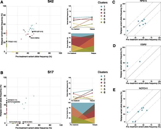Figure 3. Temporal dynamics of somatic mutations. SciClone analysis of variant allele frequencies for case S42 revealed 6 predicted subclones (A). Although cluster 1 (harboring a mutation in RPS15), clusters 2 and 3 (carrying a frame-shift deletion in MGA, a gene previously found disrupted in high-risk CLL)26,27 remained stable over time; clusters 4 and 6 represent relapse-specific (sub)clones, with the latter harboring a TP53 mutation that affects 25% of tumor cells, whereas cluster 5 was eliminated. In case S17, a single stable population was detected; however, a drastic shift in (sub)clonal populations was also observed (B); clusters 4 and 6 were successfully eliminated by treatment. This is noteworthy because the former harbored the classical 2-bp deletion of NOTCH1 and the recurrent p.K700E SNV in SF3B1. On the other hand, clusters 2, 3, and 5 represent relapse-specific subclones with cluster 2, which was the dominant clone at relapse, harboring a stop-gain mutation in NOTCH1 and an SNV in EGR2. Results for the remaining samples are provided in supplemental Figure 4. (A-B) The mean variant allele frequency of each cluster at both time points (top right) and the fraction of each cluster in comparison with the major cluster (cluster 1; bottom right). (C-E) Variant allele frequencies for FCR relapsing cases with RPS15, EGR2, and NOTCH1 mutations before treatment and at relapse. *Denote 2 unique mutations in the same case (S17).