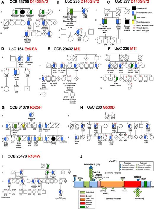 Figure 1. Germ line DDX41 mutations in 9 families with inherited hematologic malignancies. (A-I) Pedigrees with germ line DDX41 mutations. (J) Germ line and somatic DDX41 mutations in hematologic malignancies. BM, bone marrow; CML, chronic myeloid leukemia; CRC, colorectal cancer; HL, Hodgkin lymphoma; NOS, not otherwise specified; SLE, systemic lupus erythematosis; ZnF, zinc finger