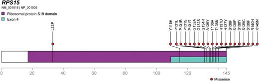 RPS15 protein is depicted as a linear peptide sequence, with the S19 ribosomal protein domain and exon 4, the mutational hotspot, highlighted. Missense mutations found by Ljungström et al are indicated, demonstrating an obvious hotspot.