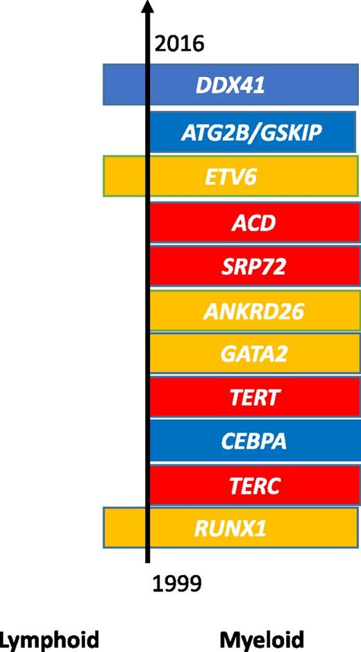 The genetic landscape of inherited HM. The order of the 11 established germ line mutations is depicted based on their date of discovery. Mutations are broadly assigned to 3 groups according to phenotype: HMs alone (blue), associated bone marrow failure syndromes (red), or characteristic cytopenias and/or platelet dysfunction (yellow). The incidence of these mutations varies considerably with >10 pedigrees reported for mutations in RUNX1, TERC, CEBPA, TERT, ANKRD26, GATA2, and now DDX41 with, in certain families/genes, apparent clustering of myeloid and lymphoid malignancies.