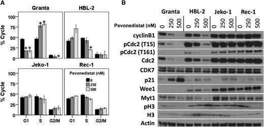 Figure 4. Pevonedistat exposure results in variable degrees of cell cycle arrest that correlates with changes in key regulatory proteins of the cell cycle progression (p21 and CDC2). (A) MCL cell lines were exposed to pevonedistat (250 or 500 nM) for 48 hours. Subsequently, cells were fixed, stained with PI, and analyzed by flow cytometry. (B) MCL cell lines were exposed to pevonedistat (250 or 500 nM) or vehicle control. After 48 hours of drug exposure, changes in cell cycle regulatory proteins were studied by western blot analysis.