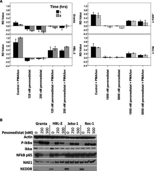 Figure 5. In vitro exposure of MCL cell lines to pevonedistat decreases NF-κB activity. (A) MCL cell lines were exposed to pevonedistat (125-250 nM) for up to 4 hours. Changes in NF-κB activation were analyzed using ImageStream technology. Nuclear p65 translocation into the nuclei is reported as similarity score (SS) of Dapi and p65 images. The RD metric reports the changes in SS by measuring the shift between 2 distributions. (B) Changes in the protein stability of Ikkα and phospho (P)-IkBα were analyzed through the use of western blotting after pevonedistat in vitro exposure. PMA/Ion, phorbol 12-myristate 13-acetate/ionomycin.