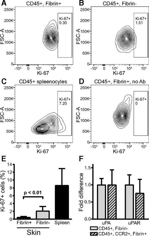 Figure 4. Fibrin-internalizing cells display a low proliferation rate and express components of the plasminogen activation system. (A-E) Analysis of proliferation of fibrin-uptaking and fibrin-nonuptaking cells from fibrin implantation zones. (A-B) Representative examples of flow cytometry analysis of CD45-positive, fibrin-internalizing cells (A) and CD45-positive, fibrin-noninternalizing cells (B) stained with Ki-67 antibodies. (C) Flow cytometry of CD45-positive spleen cells (positive control). (D) Flow cytometry analysis of CD45-positive, fibrin-internalizing cells with primary antibody omitted (negative control). Diagrams show intensity of Ki-67 staining vs forward scatter. Boxes show gate for positive signal, and percent of cells in gate is indicated. (E) Enumeration of Ki-67–positive, CD45-positive fibrin-uptaking (left bar, N = 6) and CD45-positive, fibrin-negative (middle bar, N = 6) cells. Ki-67 staining of CD45-positive spleen cells (N = 4) are shown in the right bar. Data are shown as mean with standard deviation. P value was determined by Student t test (2 tailed). (F) Real-time PCR analysis of Plau (left bars) and Plaur (right bars) mRNA expression in fluorescence-activated cell sorting–isolated CD45-positive, fibrin-negative (open bars) and CD45-positive, CCR2-positive, fibrin-positive (cross-hatched bars). Data are shown as mean with standard deviation and were generated from 3 samples, each sample being a pool of cells isolated from 3 mice. Ab, antibody; FSC-A, forward scatter-A.