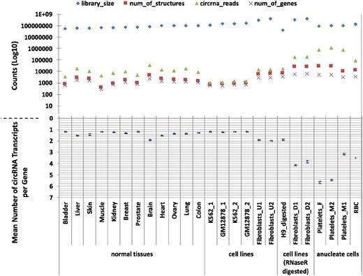 Figure 1. CircRNAs in human tissues. The number of circRNAs (structure counts), junction reads (back-splice read counts), circRNA producing genes (gene counts), mean number of circRNA transcripts per circRNA producing genes, and RNAseq library sizes (read counts) are shown. Samples are presented as 4 groups: nucleated tissues, nucleated cell lines, nucleated cell lines digested with RNAse R, and anucleated cell types. The number of back-splice reads is significantly higher in anucleate samples (platelets and RBCs) than all others (P = 2.7 × 104, Wilcoxon rank sum test; figures adjusted for library size). All data were processed using PTESFinder, and all were publicly available with the exception of the data from RBCs (see “Materials and methods” and supplemental Table S1 for details of datasets, and supplemental Table S3 for details of structures).