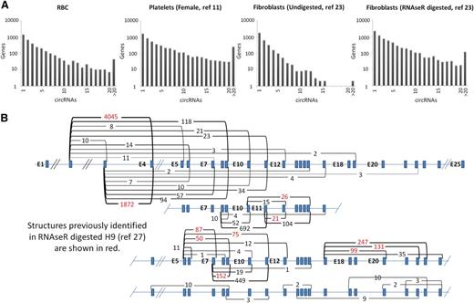 Figure 2. circRNA structures per gene. (A) Histograms showing circRNA numbers per gene established using PTESFinder for RBCs (this study), platelets,11 fibroblasts, and fibroblasts digested with RNAse R.23 (B) Schematic diagram showing XPO1 intron/exon organization with read counts and inferred structure of all circRNAs identified within the 3 platelet samples. Inferred structures assume that all internal Refseq exons are present within the structure defined by each back-splice. Read counts for the 11 structures identified previously within RNAse R digested H9 ES cells27 are highlighted in red.