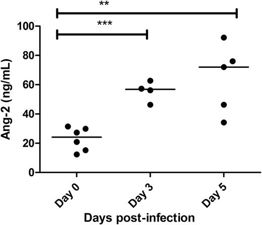 Figure 2. Early EC activation is a feature of ECM. Ang-2 is another protein stored within endothelial cell WP bodies. To further assess WP body exocytosis in WT C57BL/6J mice following P berghei infection, plasma Ang-2 levels were measured at specified time points using a commercial ELISA.