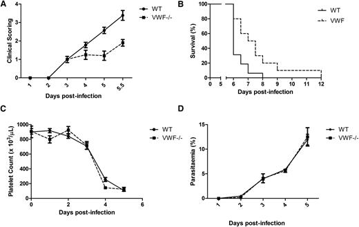 Figure 4. VWF-deficient mice are significantly protected against ECM. To investigate whether VWF may be directly involved in the pathogenesis of ECM, P berghei infection in VWF−/− mice was investigated. (A) Following inoculation with P berghei, clinical phenotype and progression in VWF−/− mice (n = 10) and WT C57BL/6J mice (n = 16) were compared using a validated clinical scoring algorithm. Results presented represent the mean values ± SEM (*P < .05, **P < .01, ***P < .0001, respectively). (B) In addition, overall survival in WT (n = 16) and VWF−/− (n = 10) mice infected with 2 × 106 P berghei parasites was also determined and analyzed by log-rank (Mantel-Cox) test. (C) Because VWF plays a critical role in modulating platelet adhesion and aggregation, sequential platelet counts were performed in VWF−/− mice and WT C57BL/6J mice following P berghei infection (n = 4-5 mice per time point). (D) Peripheral blood P berghei parasitemia levels were determined following inoculation in both VWF−/− (n = 10) and WT C57BL/6J mice (n = 10) at specified time points from Giemsa-stained smears. Results presented represent the mean values ± SEM.