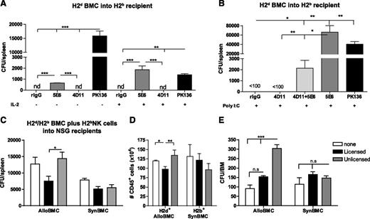 Figure 1. Activated unlicensed U-NK cells promote donor BMC engraftment after allogeneic BMT. B6 mice were treated with mAb against licensed L-Ly49C/I+ NK cells (5E6) and/or unlicensed U-Ly49G2+ NK cells (4D11) with or without NK cell stimulation (IL2 or Poly I:C) 2 days before allogeneic BMT of 3 × 106 B10.D2 donor BMCs. Anti-NK1.1 (PK136) was used as positive control of total engraftment. (A-B) The hematopoietic progenitor content of spleens (Total CFU-c/spleen) of IL2- (A) or Poly I:C-treated (B) host NK cells was assessed 7 days post-allogeneic BMT. Lethally irradiated NSG mice were IV injected with 3 × 106 BALB/c (allogeneic: alloBMCs) or B6 (syngeneic: synBMCs) BMCs plus 1 × 106 of in vitro activated licensed (CD45+CD3–CD122+Ly49G2–C/I+) or unlicensed (CD45+CD3–CD122+Ly49G2+Ly49C/I–) sorted NK cells. (C) CFU-c/spleen is shown 7 days post-BMT of NSG mice. (D) Total number of engrafted donor BMCs (H2d+ alloBMCs or H2b+ synBMCs) in NSG mice measured by flow cytometry is shown for the spleen. Activated sorted licensed or unlicensed B6 NK cells were also cultured in vitro with allogeneic (B10.D2) or syngeneic (B6) BMCs at a 1:1 ratio for 24 hours and then CFU-c was assessed in the absence of rGM-CSF. (E) CFU-c/BM for in vitro assay is shown. Data are representative of at least 2 experiments with 3 mice per group (A-D) or by triplicate (E) (mean ± SEM). One-way analysis of variance was used to assess significance (*P < .05, **P < .01, ***P < .001; n.d., not detected, n.s., not significant).