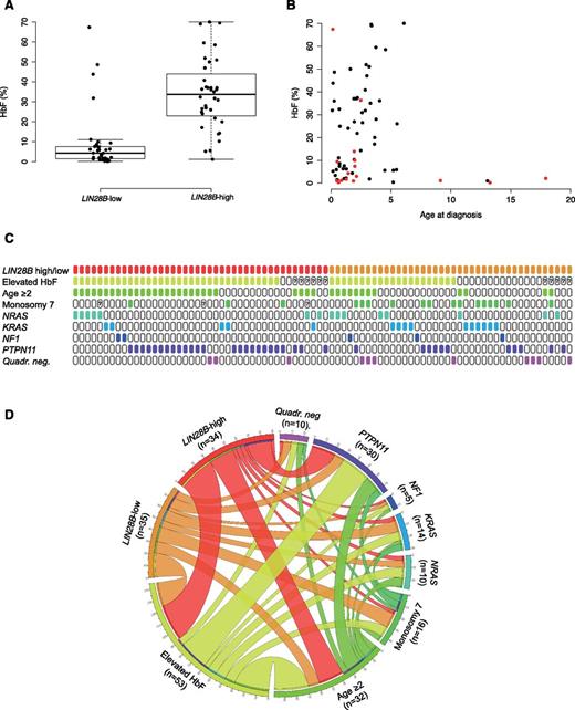 Figure 2. LIN28B overexpression is correlated with high HbF levels and the absence of monosomy 7. (A) HbF percentage (not corrected for age) in patients with low and high LIN28B expression. (B) HbF percentage in relation to age at diagnosis and karyotype. Patients with monosomy 7 are indicated in red. (C) Overview of LIN28B expression, HbF level, age at diagnosis, monosomy 7, and mutational status in 82 JMML patients. (D) Circos plot representing the relationships among LIN28B expression, HbF level, age at diagnosis, monosomy 7, and RAS mutational status in 69 JMML patients with complete data available. Quadr. neg., quadruple negative.