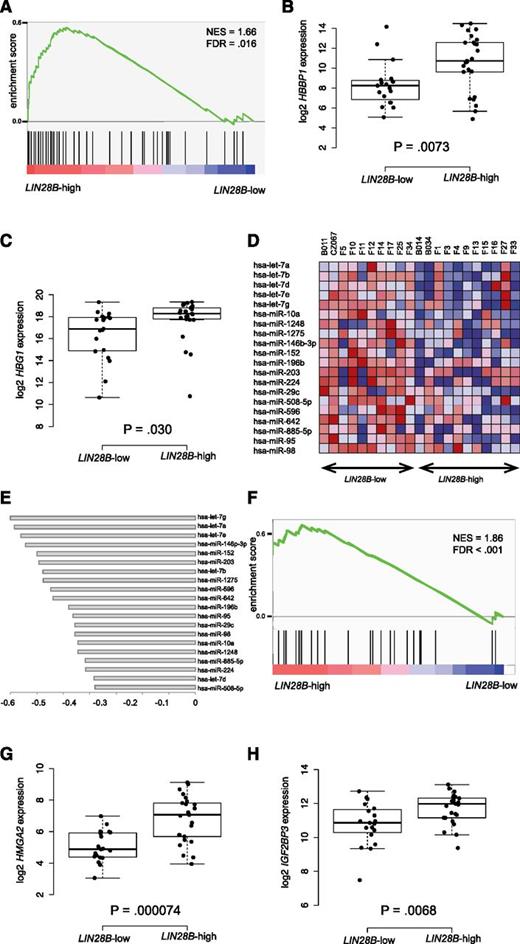 Figure 3. LIN28B defines a fetal-like stem cell signature in JMML patients. (A) Embryonic hemoglobin/HbF genes are enriched in patients with high LIN28B levels (gene set enrichment analysis). All genes measured on microarray are ranked from left to right on the basis of their differential expression between LIN28B-high and -low patients. Every vertical black line represents a gene in the hemoglobin gene set, and all other genes are invisible. The graph shows that most genes in the hemoglobin gene set are more highly expressed in patients with high LIN28B expression (more to the left). (B) Log2 expression of HBBP1 in LIN28B-low and -high patients. (C) Log2 expression of HBG1 in LIN28B-low and -high patients. (D) Heat map with expression levels of the 20 most negatively correlating miRNAs with LIN28B. Red indicates high expression; blue indicates low expression. (E) Spearman rank correlation of the top 20 most anticorrelating miRNAs with LIN28B. (F) Fetal hematopoiesis genes are enriched in patients with high LIN28B levels (gene set enrichment analysis). (G) Log2 expression of HMGA2 in LIN28B-low and -high patients. (H) Log2 expression of IGF2BP3 in LIN28B-low and -high patients. FDR, false discovery rate; NES, normalized enrichment score.