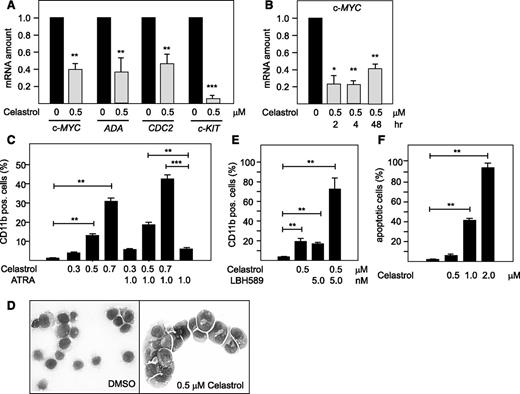 Figure 4. Celastrol suppresses the expression of Myb target genes and induces myeloid differentiation and apoptosis in HL60 cells. (A) Effect of Celastrol on human Myb target genes. Real-time PCR analysis of ACTB, c-MYC, ADA, CDC2 and c-KIT expression in HL60 cells treated for 24 hours with or without 0.5 μM Celastrol. Columns show the amount of the indicated mRNAs normalized to the amount of β-actin mRNA. (B) Analysis of c-myc expression at different times of Celastrol treatment. (C) Effect of Celastrol on the differentiation of HL60 cells. Cells were treated for 2 days with the indicated concentrations of Celastrol or ATRA. Columns indicate the percentage of CD11b-positive cells, as determined by flow cytometry. (D) May-Grünwald staining of HL60 cells treated for 2 days with dimethylsulfoxide (DMSO) or 0.5 μM Celastrol. (E) HL60 cells treated for 2 days Celastrol and LBH589 were analyzed as in C. (F) HL60 cells were treated for 24 hours with the indicated concentrations of Celastrol and analyzed for staining with Annexin V. The columns indicate the percentage of apoptotic cells. Asterisks indicate statistical significance (*P < .05, **P < .01, ***P < .001, Student t test).