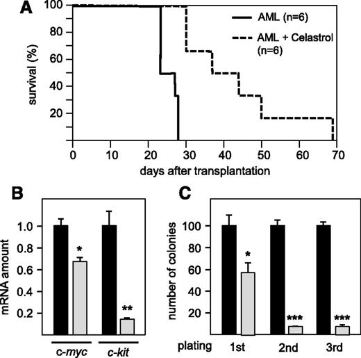 Figure 7. Celastrol prolongs the survival of mice in an in vivo model of an aggressive AML. (A) Survival of mice developing a HoxA9/Meis1-induced AML. Mice were treated with Celastrol (broken line) or left untreated (solid line). (B) Effect of Celastrol on Myb target genes. Quantitative real-time PCR analysis of c-myc and c-kit mRNA expression was performed on bone marrow cells from AML-induced control mice (black bars) or Celastrol-treated mice (gray bars). Expression was normalized against ribosomal 18S RNA. (C) Replating assays of bone marrow cells from AML-induced control and Celastrol-treated mice. Total bone marrow cells from mice untreated (black bars) or Celastrol-treated (gray bars) were grown in methylcellulose without Celastrol at a concentration of 1 × 104 cells/mL. The cells were replated every 10 days at the same concentration. Asterisks indicate statistical significance (**P < .01, ***P < .001, Student t test).