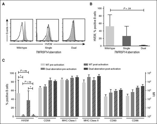 Figure 1. Cell surface expression of HVEM is reduced on FL B cells with TNFRSF14 aberrations but expression of other molecules involved in antigen presentation is maintained. (A) Cell surface expression of HVEM (filled histograms) and isotype controls (open histograms) on FL B cells. Representative data are shown from patients with TNFRSF14 WT (left panel), single TNFRSF14 aberrations (middle panel), and dual TNFRSF14 aberrations (right panel). (B) Mean (± standard deviation) frequencies of HVEM+ cells, expressed as a percentage of FL B cells, for WT (n = 5), single aberration (n = 3), and dual TNFRSF14 aberration cases (n = 5). P value is for 2-tailed unpaired Student t test. (C) Surface expression of molecules involved in antigen presentation on FL B cells shown pre- and postactivation. The mean values are shown for 5 WT cases and 5 cases with dual TNFRSF14 aberrations. Error bars show standard deviation. There were no significant differences in the level of expression of CD58, MHC class I and II, CD80 or CD86 in WT FL B cells and FL B cells with dual TNFRSF14 aberrations either before or after in vitro activation (P > .05 in 2-tailed unpaired Student t test). MFI, mean fluorescence intensity; ns, not significant.