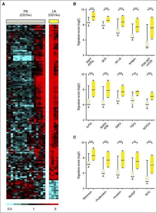 Figure 1. Gene expression differs between MCL cells in PB and LN due to activation of signaling pathways in the LN. (A) Heat map of 130 genes that were differentially expressed in purified MCL cells obtained from PB (PBT, n = 17) and LN (LNT, n = 4) in 18 patients (>2-fold change, FDR < 0.2). Gene expression data were median-centered. Relative expression is indicated by the color scale. (B and C) GSEA identified a large number of upregulated gene sets in LNT compared with PBT. Accordingly, 166 relevant gene sets were selected having FDR ≤ 0.01, NES ≥1.80, and ≥10 “leading edge genes” (the genes of a given gene set most significantly differentially expressed in the experimental data), then grouped into 4 categories based on their functional similarities (supplemental Table 3). Two of these 4 categories are displayed: (B) “Signaling and interaction with the microenvironment” and (C) “Proliferation/malignancy”. Within each subcategory, the “signature score” of the gene set with the highest NES was calculated and displayed. This signature score was computed as the average of the mRNA expression level of the leading edge genes of a given gene set. The signature scores were compared between PBT and LNT samples using unpaired Student t test. AKT, protein kinase B; APRIL, a proliferation inducing ligand; BAFF, B-cell activating factor; E2F, E2F transcription factor; ERK, extracellular signal regulated kinase; GSK3, glycogen synthase kinase 3; IL, interleukin; LNT, purified tumor cells from LN; MAPK, mitogen-activated protein kinase; mTOR, mammalian target of rapamycin; MYC, v-myc avian myelocytomatosis viral oncogene homolog; PBT, purified tumor cells from PB; PG, prostaglandin; PI3K, phosphatidylinositol 3-kinase; Rb, retinoblastoma; TGFβ, transforming growth factor-β. ***P < .001; **P < .01.