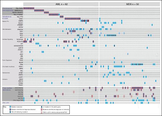 Figure 2. Genomic characterization of myeloid malignancies using Karyogene. Individual AML (n = 62) and MDS (n = 50) samples are represented in columns and genetic mutations in rows. AML samples were unselected whereas MDS samples were pre-selected to harbor chromosomal copy number changes. Mutations are grouped into chromosomal translocations (top), substitutions and indels (middle), CNAs (bottom), and CN-LOH events (bottom row). Clinically relevant CNAs are depicted in separate rows and “other large CNAs” refers to changes affecting regions larger than 3 mbp (described in detail in supplemental Figure 3). The presence of mutations in different contexts is indicated according to the key (bottom left). TF, transcription factor.