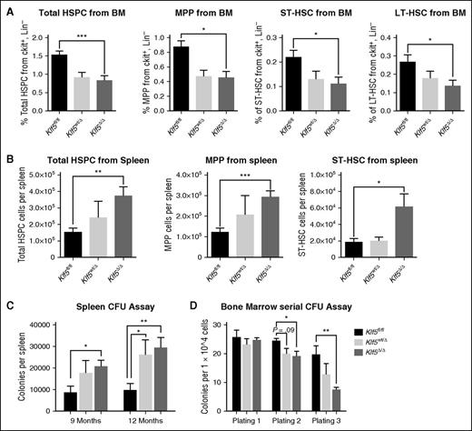 Figure 1. Measurement and functional characterization of HSPCs in Klf5Δ/Δ mice. (A) Measurement of total HSPC (defined by IL7Rα−c-Kit+Sca-1+), LT-HSCs (defined by c-kit+Lin−IL7Rα−Sca-1+CD48−CD150+), ST-HSCs (defined by c-kit+Lin−IL7Rα−Sca-1+CD48+CD150+), and MPPs (defined by c-kit+Lin−IL7Rα−Sca-1+CD48+CD150−) as a percentage of the cKit+Lin− compartment from bone marrow of mice at 9 months of age using flow cytometry. Results were obtained from n = 8 Klf5fl/fl, n = 8 Klf5wt/Δ, and n = 11 Klf5Δ/Δ mice. (B) Total HSPCs, MPPs, and ST-HSCs (as a percentage of the cKit+Lin− compartment) in the spleen of 12-month-old mice. Results were obtained from n = 7 Klf5fl/fl, n = 5 Klf5wt/Δ, and n = 8 Klf5Δ/Δ mice. (C) Enumeration of myelo-erythroid colonies from spleen cells of Klf5Δ/Δ mice at 9 and 12 months old. Results were obtained from n = 6 Klf5fl/fl, n = 5 Klf5wt/Δ, and n = 7 Klf5Δ/Δ mice at 3 months and n = 6 Klf5fl/fl, n = 4 Klf5wt/Δ, and n = 6 Klf5Δ/Δ mice at 9 months. (D) Quantification of myelo-erythroid progenitor self-renewal from bone marrow using serial colony-forming assays at 9 months. Results were obtained from n = 4 Klf5fl/fl, n = 5 Klf5wt/Δ, and n = 5 Klf5Δ/Δ mice. Mean and SEM are shown for all measurements. P values were obtained from 2-tailed t tests conducted between each genotype group: ***P < .001, **P < .01, and *P < .05.