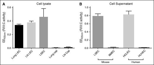 Figure 3. Biologically active FVIII is present in cell lysates or culture supernatants of purified LECs and LSECs, but not in those of conventional capECs. FVIII activity was measured by using a Biophen FVIII:C Kit and was normalized to equal cell numbers. (A) Biological activity of FVIII in cell lysates of purified LECs and LSECs. Mean ± standard deviation of 3 biological replicates except lung LECs and lung capECs that were the average of 2 experiments. (B) FVIII activity in supernatants (24 hours of cell culture) was detected from primary cultured LSECs and human dermal LECs (HDLECs), but not from primary brain microvascular ECs (BMECs) and human umbilical vein ECs (HUVECs). The activity was normalized for cell number. The data are from 3 biological replicates.