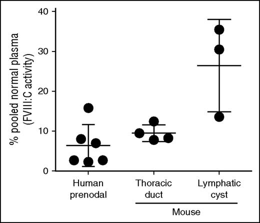Figure 4. Substantial amounts of biologically active FVIII are present in human prenodal and mouse thoracic or cyst lymph. Lymph was collected as described in the text, and FVIII:C activity was measured by using the Biophen FVIII:C Kit. The data represent FVIII:C activities of individual lymph samples relative to that of human or mouse pooled normal plasma level of FVIII (defined as 100%) as described in “Materials and methods.”