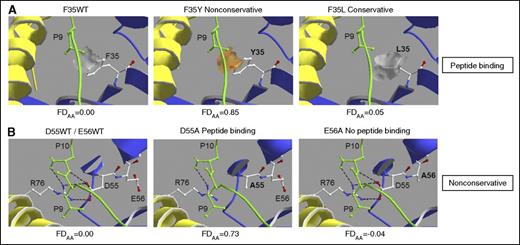 Figure 4. Homology modeling of AA substitutions with opposing FDAA scores. Homology modeling was performed using the HLA-DPB1*09:01-HLA-DPA1*02:01 heterodimer with the bound 10-mer peptide MP-10R13 derived from the streptococcal M12 protein.47 HLA-DP α and β chains are shown in yellow and blue, respectively, and peptide is shown in green. (A) Comparative analysis of 2 AA substitutions at the peptide-binding residue 35, either nonconservative (F35Y; FDAA 0.85) or conservative (F35L; FDAA 0.05). Orange or gray patches indicate hydrophilic or hydrophobic areas at the molecular surface introduced by the side chains of polymorphic residue 35. (B) Comparative analysis of 2 nonconservative AA substitutions at neighboring residues with (D55A; FDAA 0.73) or without (E56A, with FDAA −0.04) peptide-binding characteristics. Electrostatic interactions between peptide residue P9, conserved R76 of the HLA-DP α chain, and polymorphic D55 of the HLA-DPB1*09:01 β chain are shown as black dotted lines.