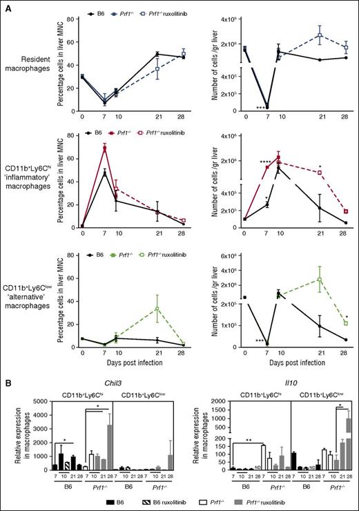 Figure 6. The early inflammatory response to LCMV is counter balanced by a pronounced restorative response in Prf1−/− mice treated with ruxolitinib. (A) Analysis of the relative (left) and absolute (right) number of each macrophage subset expressed as relative to mean total macrophage number in the liver of control (B6) and Prf1−/− mice either nontreated or treated with ruxolitinib for 14 days at the indicated times. Data (mean ± SEM) are representative of 2 independent experiments with at least 3 mice in each group. *P < .05; ***P < .001; ****P < .0001). (B) Relative expression of Chil3 and Il10 in sorted hepatic macrophages obtained after LCMV infection from control (B6) and Prf1−/− mice either nontreated or treated with ruxolitinib for 14 days, at the indicated times. Data (mean ± SEM) are representative of 2 independent experiments with at least 3 mice in each group. *P < .05; **P < .005.