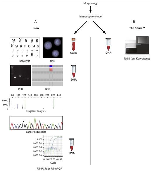 The standard battery of assays required at diagnosis for AML (A) may soon be replaced by a single NGS-based test such as Karyogene (B), described in this issue. FISH, fluorescence in situ hybridization; RT-PCR, reverse transcription PCR.