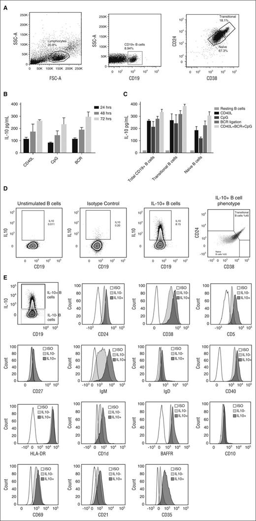 Figure 1. IL-10 production by CB-derived B cells after stimulation with CD40L, CpG, or BCR ligation. (A) Phenotypic characterization of cord blood B-cell subsets, as shown in representative fluorescence-activated cell sorter plots illustrating gating strategy on lymphocyte population, total CD19+ B cells and CD19+CD38hiCD24hi transitional B cells and CD19+CD38intCD24int naive B cells. (B) Bar graphs showing cumulative time-dependent IL-10 production by CB-derived CD19+ B cells in response to stimulation with CD40L, CpG, or BCR ligation (n = 10). CBMCs were stimulated with irradiated CD40L-transfected fibroblasts (L cells), CpG, or BCR ligation for 24, 48, or 72 hours. PMA (50 ng/mL) and ionomycin (250 ng/mL; Sigma-Aldrich) were added for the last 6 to 8 hours of the culture. Supernatants were harvested and assayed for IL-10 secretion by ELISA. (C) Cumulative IL-10 production by total CD19+ B cells vs sort-purified naive and transitional B-cell subsets after stimulation with CD40L, CpG, BCR ligation or their combination. Resting B cells (unstimulated) were used in each experiment as a negative control (n = 10). The bars in panels B and C represent the means and ranges. (D-E) CBMCs were stimulated with irradiated CD40L-transfected fibroblasts (L cells), BCR ligation, and CpG for 24 hours. PMA (50 ng/mL), ionomycin (250 ng/mL; Sigma-Aldrich), and brefeldin A (5 µg/mL; Sigma-Aldrich) were added for the last 6 to 8 hours of the culture. Cells were harvested, and surface stained with a cocktail of CD38 PEcy7 (eBioscience), HLA-DR FITC, CD40 PEcy7BAFFR FITC, CD22 FITC, CD23 PEcy7, CD21 FITC, CD25 PE, CD1d PE (all from Biolegend), CD24 FITC, CD27 PE, IgM PerCPcy5.5, IgD BV605, CD10 BV605, CD5 FITC, and CD43 FITC (all from BD Biosciences). Cells were fixed/permeabilized (eBioscience) and stained with APC-conjugated IL-10 or IgG2a-К isotype antibodies. Unstimulated B cells were also included as a negative control to validate IL-10 detection. All data were analyzed with FlowJo software. (D) Representative flow cytometry plots are shown for the distribution of IL-10+CD19+ B cells (black) and IL-10−CD19+ B cells (gray) on the CD24 v CD38 axis. lL-10+CD19+ B cells were enriched in both transitional (45%) and naive (55%) subsets. (E) Extended phenotyping of IL-10+ B cells (dark gray) vs IL-10− B cells (light gray) vs isotype control (white). APC, allophycocyanin; FITC, fluorescein isothiocyanate; FSC-A, forward scatter area; ISO, isotype control; PE, phycoerythrin; PerCP, peridinin chlorophyll; PMA, phorbol 12-myristate 13-acetate; SSC-A, side scatter area.