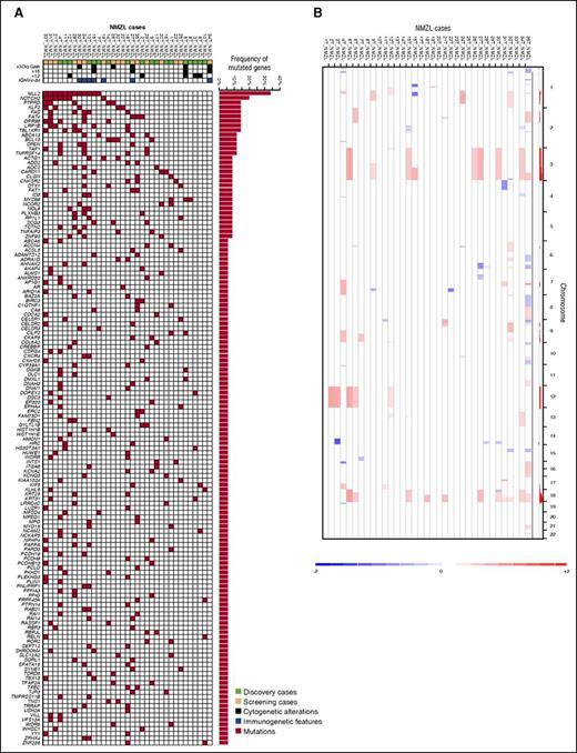 Figure 2. Mutated genes and copy number abnormalities in NMZL. (A) Heatmap showing the distribution of mutations in the 142 recurrently mutated genes (>5% of cases) among NMZL of the discovery plus screening cohorts (n = 35). Each row represents a gene and each column represents a primary tumor. Mutations are color coded in red. The horizontal bar graph shows the gene mutation frequency. The plot below the case label indicates sample characteristics (green, discovery cases; yellow, screening cases; blue, immunogenetic features; black, cytogenetic aberrations). (B) Copy number analysis of the NMZL cases. Curated segmentation data for the 35 NMZL samples. In the red-blue scale, white corresponds to a normal (diploid) copy number log ratio, blue is a deletion, and red is a gain.