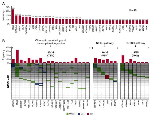 Figure 3. Genes and pathways that are recurrently affected by genetic lesions in NMZL. (A) Genes (n = 41) that were recurrently affected by mutations and/or focal copy number aberrations in ≥3 of 35 of NMZL. The bar graph represents the frequency of molecular lesions in each gene. (B) Molecularly deregulated pathways in NMZL. In the heatmap, rows correspond to genes and columns represent individual patients. Color coding is based on gene alteration status (white, wild-type; green, mutated; blue, loss; red, gain). The bar graph represents the frequency of molecular lesions in each gene. The overall frequency of genetic lesions in each pathway is indicated.