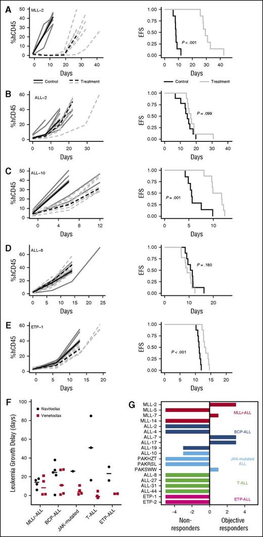 Figure 1. In vivo single-agent venetoclax responses of pediatric ALL xenografts. Responses of representative xenografts from the (A) MLLr-ALL, (B) BCP-ALL, (C) JAK-mutated ALL, (D) T-ALL, and (E) ETP-ALL subpanels treated with venetoclax (100 mg/kg for 21 days, dotted lines) or vehicle control (solid lines); results from individual mice are represented by gray lines, whereas the black lines summarize the outcome for each cohort. In each case, the left panels represent the %huCD45+ of individual mice over time, whereas the right panels show the proportion of mice remaining event free. (F) Leukemia growth delay (T − C) of ALL xenograft subtypes following treatment with navitoclax or venetoclax. Each data point represents the median cohort leukemia growth delay for each xenograft; the horizontal bar represents the median for each ALL subtype. Data from the navitoclax cohort have been published previously27 and are included here for comparison. Statistical comparison between cohorts treated with navitoclax vs venetoclax was by unpaired Student t tests corrected for multiple comparisons using the Bonferroni method. (G) “COMPARE-like” plot of the difference between the median ORM of xenografts shown in Table 1 and the midpoint response (which corresponds to a score of 5). Bars to the right or left of the midpoint represent objective responses or nonobjective responses, respectively. Xenografts achieving a PR (median ORM 6), CR (median ORM 8), or MCR (median ORM 10) classify as responders, whereas those with progressive disease (PD1, median ORM 0; or PD2, median ORM 2) classify as nonresponders.