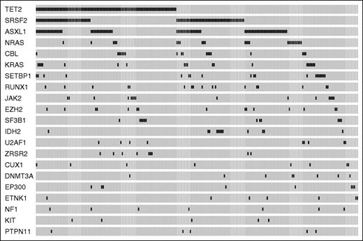 Figure 1. Mutation patterns observed in patients with CMML in the learning cohort. The plot represents the distribution of somatic lesions in genes mutated in ≥1% of patients. Each column represents an individual patient sample.