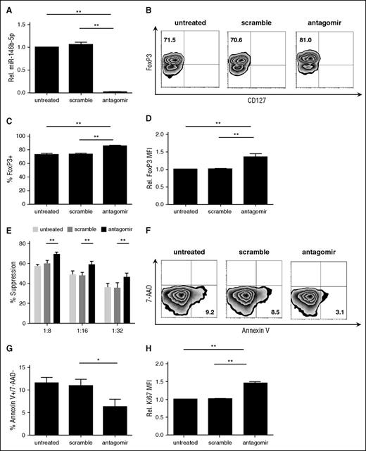 Figure 2. tTregs treated with miR-146b-5p antagomir show increased FoxP3 and Ki67 expression and viability with enhanced suppressive function. Naive peripheral blood tTregs were sort-purified, expanded in vitro, and treated with or without scramble/antagomir for the final 2 days of culture. (A) miRNA was purified from each culture, and miR-146b expression was assessed by RT-PCR to determine knockdown efficiency (n = 3). (B) Representative example of Foxp3 vs CD127 staining in tTregs treated with antagomir compared with untreated and scramble groups (gated on CD4+ cells). Summary of overall percentage of Foxp3+CD127− cells (C) and level of Foxp3 expression (D) in tTregs from each group (n = 5). (E) Percent suppression of in vitro, anti-CD3–mediated CD8+ T cell proliferation at ratios from 1:8 to 1:32 (tTregs:PBMCs) as determined by CFSE dye dilution (n = 5). (F, G) Representative flow images (F) and statistical analysis (G) of apoptosis tests were performed to analyze the survival ability in vitro. Viability was significantly enhanced after antagomir treatment (n = 3). (H) A higher relative Ki67 mean fluorescence intensity level was found after antagomir treatment (n = 5). Values indicate mean ± standard error of the mean (SEM) of these experiments. *P < .05; **P < .01.