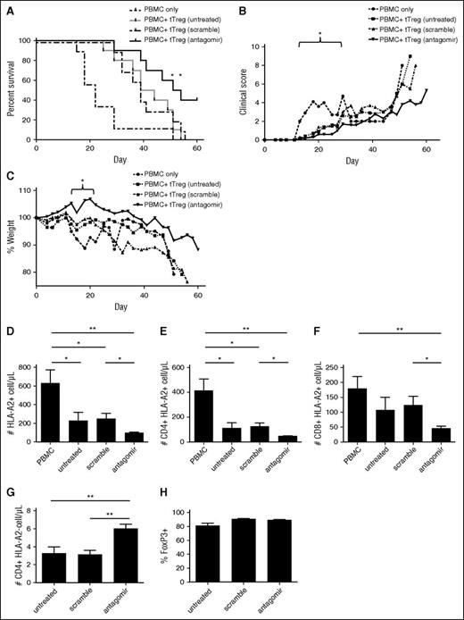 Figure 7. Antagomir-treated tTregs decrease mortality in a xenogeneic model of GVHD. Naive PB tTregs were sort-purified, expanded in vitro, and either left untreated or incubated with scramble RNA or miR-146b antagomir for 2 days. Following treatment, tTregs were washed and cotransferred (15 × 106) with allogeneic PBMCs (15 × 106) into NOD/Scid/γc−/− mice to assess the ability to ameliorate xenogeneic GVHD. n = 10, 10, 9 and 10 for the PBMC, untreated, scramble-treated, and antagomir-treated groups, respectively. (A) Kaplan-Meier survival curves for mice receiving PBMCs ± groups of tTregs. *P < .05. (B) Average weight (percentage of initial) for mice surviving on a given day for different groups of mice (*P < .05 for all tTreg groups from days 15 to 22). (C) Average GVHD score for mice surviving on a given day for different groups of mice. *P < .05 for all tTreg groups from days 13 to 22. GVHD severity was measured by enumerating PBMC-derived (ie, HLA-A2+) T-cell numbers in circulation on day 14 in the (D) HLA-A2+ total, (E) CD4+ HLA-A2+, and (F) CD8+ HLA-A2+ populations, respectively. (G) In vivo tTreg persistence was determined by enumerating CD4+ HLA-A2− cells in the blood on day 7. (H) The FoxP3+ tTreg population was maintained in all groups. Data shown are representative of 2 independent xenogeneic GVHD experiments.