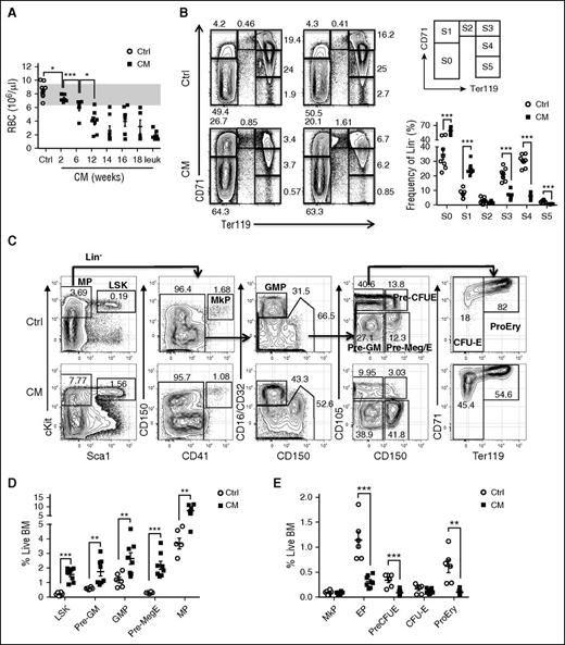 Figure 1. CM expression leads to preleukemic expansion of a phenotypic Pre-Meg/E progenitor population. (A) RBC counts in peripheral blood of CM mice (n = 5-8) over time (2-18 weeks) and when moribund with leukemia (n = 6) compared with similarly treated control mice (n = 13). The gray area indicates the typical normal range. (B) Representative FACS plots showing various erythroid progenitor subsets defined by the expression of Ter119 and CD71 in CM-expressing preleukemic BM 2 weeks after poly (I:C) compared with control (Ctrl) BM analyzed by flow cytometry. Numbers indicate the frequency of each gate in Lin− BM cells. Right panel shows the gating strategy (top) and the frequency of each phenotypic erythroid subsets (S0-S5) in Lin− BM as defined above (bottom). Mean ± standard error of the mean (SEM; Ctrl, n = 8: CM, n = 8) are shown. (C) Representative FACS plots showing the gating strategy of various phenotypic progenitor populations in CM preleukemic BM compared with Ctrl BM analyzed by flow cytometry. The frequency within total BM is shown for LSK and MP (first plot from left), and the frequency in the respective parent gate is shown for the other populations. (D-E) Frequency of various CM (n = 8) or Ctrl (n = 6) phenotypic progenitor populations in total BM as defined above. Mean ± SEM is shown. *P < .05; **P < .01; ***P < .001.