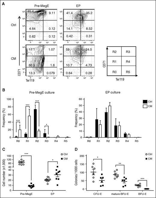 Figure 3. CM-expressing Pre-Meg/Es are impaired in erythroid differentiation potential in vitro. (A) Representative FACS plots and gating strategy (R0-R5) of CD71 and Ter119 expression of sorted CM or control Pre-Meg/E and EPs after 3-day erythroid differentiation culture. (B) The frequency of differentiating erythroid cells at various maturation stage (R0-R5) from Pre-Meg/E (left) or EPs (right) at day 3. Bars and lines represent mean + SD (n = 7-9) from 3 independent experiments. (C) Total cell number output from CM or control Pre-Meg/E and EPs after 3 days of differentiation culture. Results include 3 independent experiments performed in triplicate. Mean ± SEM (×1000) is shown. (D) Number of CFU-E, mature BFU-E, and BFU-E colonies from CM or control Pre-Meg/Es (per 1000 cells). Results include 3 independent experiments performed in duplicate. CFU-E and mature BFU-E colonies were counted at day 3, and BFU-E colonies were counted at day 10. Mean ± SEM is shown. *P < .05; **P < .01; ***P < .001.