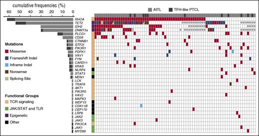 Figure 1. Mutational landscape of nodal TFH-derived lymphomas. The results of targeted deep sequencing of 69 genes in 72 AITL (light gray) and 13 TFH-like PTCL (dark gray) are presented. Ten cases (8 AITL and 2 TFH-like PTCL) with no mutations detected are not represented. TET2, DNMT3A, and IDH2 mutations available for a subset of the cases reported in previous studies8,9 are also shown. Case-mutation pairs for which data are not available are indicated by a 0. Mutated genes (rows) are arranged by decreasing order of mutation frequency. Patients (columns) are arranged from left to right based on their mutational status following gene ranking.